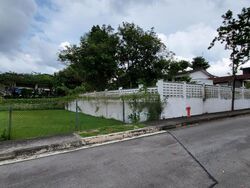 Ponggol Park (D19), Detached #481823941